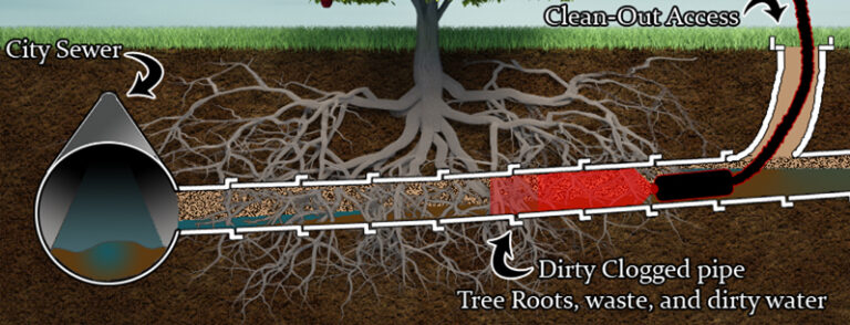 Tree Root Ingress