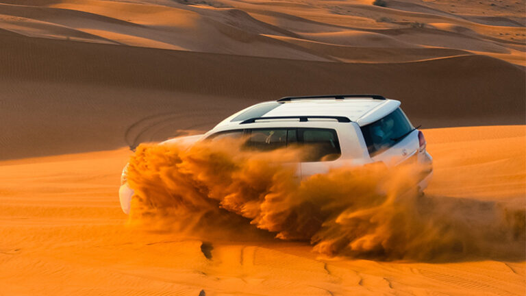 vip desert safari dubai