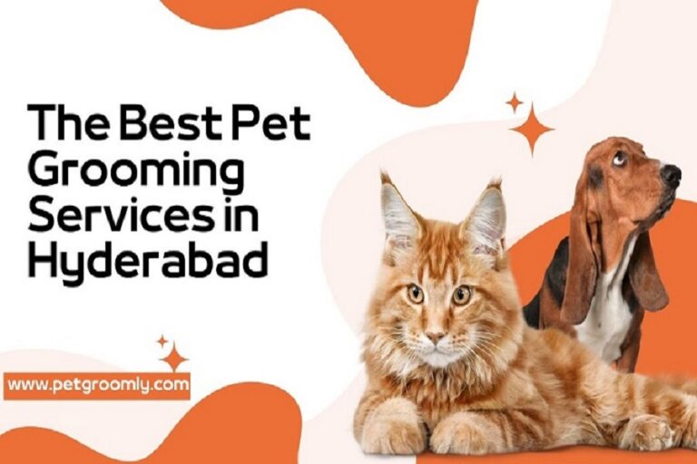 pet grooming in Hyderabad