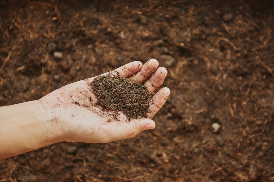 fertiliser Ireland 